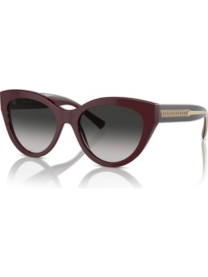 TIFFANY & CO. TF 4220 8389/3C 54