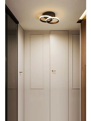 Modern Yatak Odası,çocuk Odası,antre,hol Siyah Kasa Günışığı LED Avize