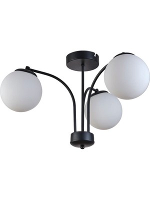 Lora Modern Tasarım Yatak Odası Mutfak Salon Siyah Renk Beyaz Camlı 3 Lü Avize