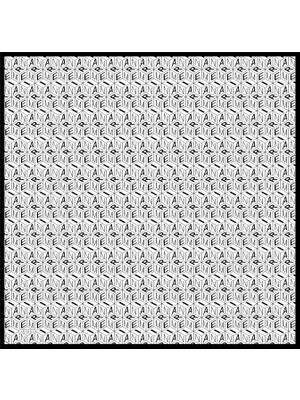 02 Armine Twill Ipek Eşarp 8924D