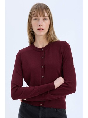 DeFacto Regular Fit Bisiklet Yaka Düğmeli Triko Hırka E5032AX24WN