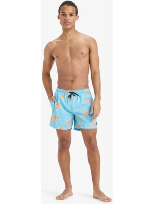 Quiksilver  Everyday Straıght Volley 15 Erkek Şort