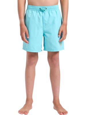Quiksilver Spl Fineline Yth 14 Erkek Çocuk Mavi Volley Short