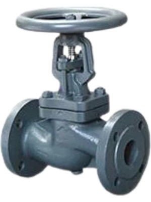 DN300 PN16 Pik Döküm Glob Vana