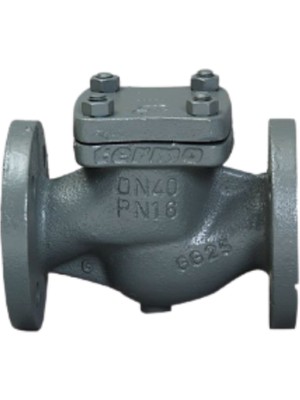 DN150  PN16 Pik Döküm Flanşlı Yaylı Çekvalf