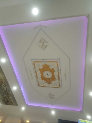 Dekoratif Saray Tavan Köşe Motif Dgm-24 Beyaz Altın 41*26