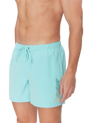 Quiksilver Spl Fineline 15 Erkek Mavi Volley Short