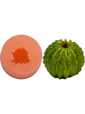 Küçük Yuvarlak Kaktüs Silikon Mum Kalıbı