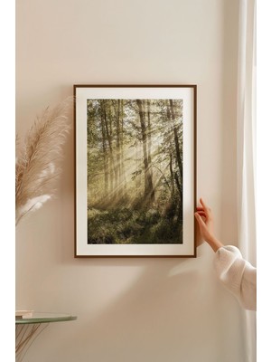 Tek Parça Kahverengi Gerçek Ahşap Çerçeveli Tablo Seti - Model 7