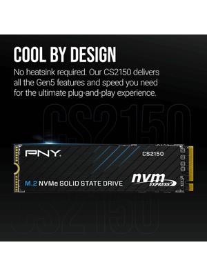 PNY 1 TB SSD Solid State Drive ve Fiyatları - Hepsiburada.com