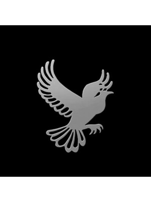 TabiTela 925 Ayar gümüş kolye kartal   SM4556