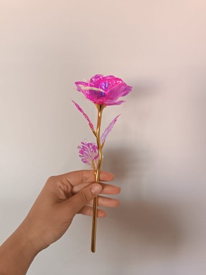 Alsana LED Işıklı Solmayan Sonsuzluk Gülü 2 Adet Kutulu