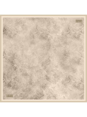 2347-38 Twıl Ipek 90X90