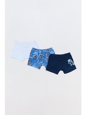 Powerful Hero Baskılı Erkek Çocuk 3 Lü Boxer