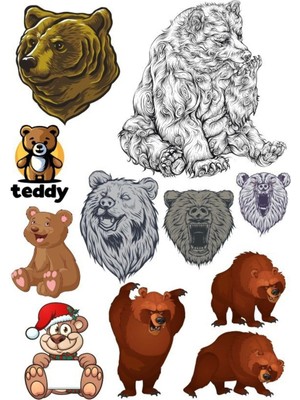 Ayı Sticker Set-5 10 Parça Telefon, Tablet, Defter, Laptop Sticker