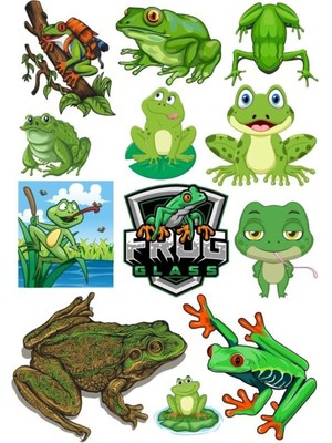 Kurbağa Sticker Set-1 12 Parça Telefon, Tablet, Defter, Laptop Sticker