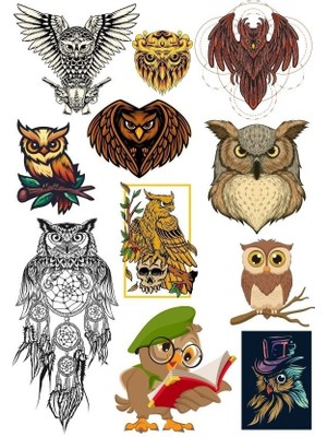 Baykuş Sticker Set-3 11 Parça Telefon, Tablet, Defter, Laptop Sticker