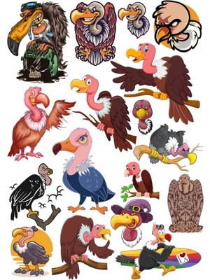 Akbaba Sticker Set 4 15 Parça Telefon, Tablet, Defter, Laptop Sticker