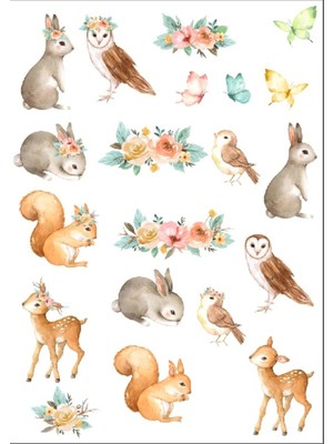 Sevimli Hayvanlar Sticker Set 3