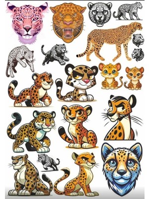 Leopar Sticker Set 3