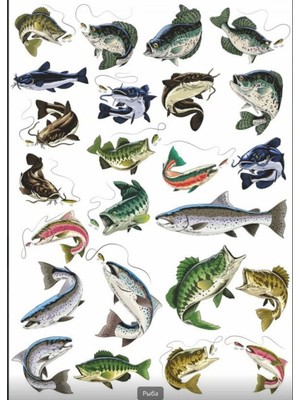 Balık ve Balıkçılık Sticker Set 3