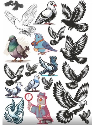 Güvercin Sticker Set 2