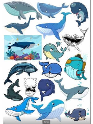 Balina Sticker Set 3