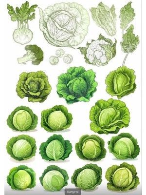 Lahana Sticker Set 5