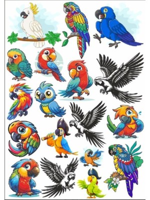 Papağan Sticker Set