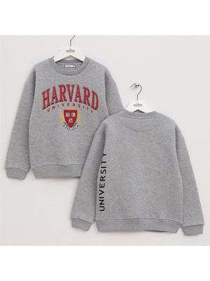 Erkek Çocuk Şardonlu Uzun Kol Kalın Bisiklet Yaka Tişört - 16213 - Melanj