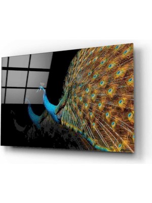 Shopping Haven Nw Özel  Tavus Kuşu Cam Tablo
