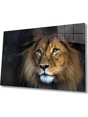 Shopping Haven Aslan Hayvan Cam Tablo 4mm Dayanıklı Temperli Cam