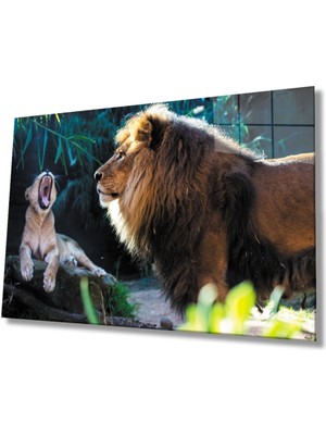 Aslan Hayvan Cam Tablo 4mm Dayanıklı Temperli Cam