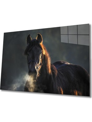 Shopping Haven At 1 Cam Tablo