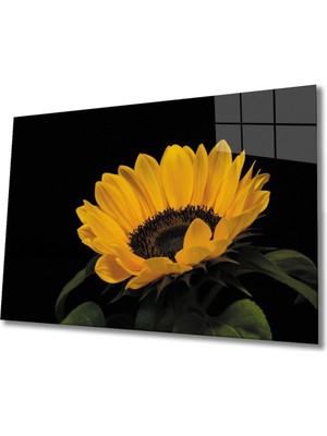 Shopping Haven Ay Çiçeği 1 Cam Tablo | Dekoratif Cam Tablo