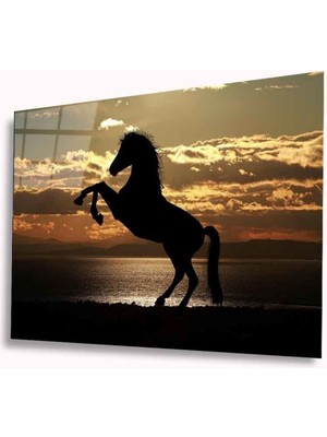 Shopping Haven Şahlanan At Cam Tablo 4mm Dayanıklı Temperli Cam