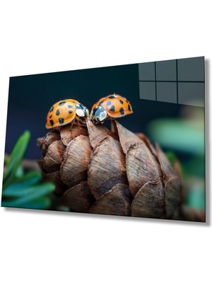 Shopping Haven Uğur Böceği ve Yaprak Cam Tablo, Ev ve Ofis Duvar Dekoru, Hediyelik Büyük Temperli 4 mm Cam Tablo