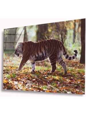 Kaplan Cam Tablo 4mm Dayanıklı Temperli Cam