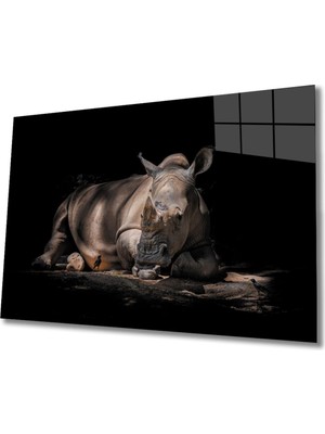 Shopping Haven Gergedan Cam Tablo