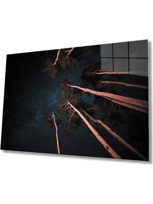 Shopping Haven Ağaçlar Kahverengi Cam Tablo, Ev ve Ofis Duvar Dekoru Hediyelik Büyük Tablo Dayanıklı Cam