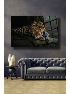 Shopping Haven Leopar Cam Tablo