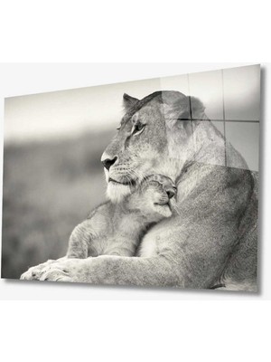 Shopping Haven Aslan Hayvan Cam Tablo 4mm Dayanıklı Temperli Cam