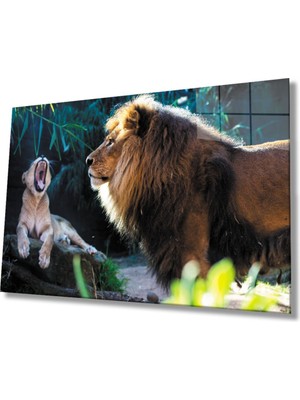 Shopping Haven Aslan Hayvan Cam Tablo 4mm Dayanıklı Temperli Cam