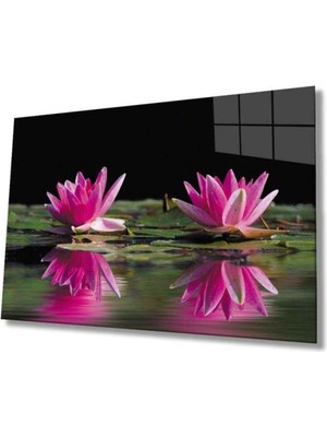 Lotus Çiçeği Cam Tablo 4mm Dayanıklı Temperli Cam 110 x 70
