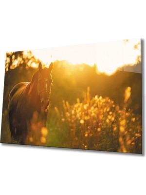 Shopping Haven At 3 Cam Tablo