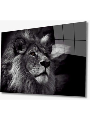 Shopping Haven Aslan Hayvan Cam Tablo 4mm Dayanıklı Temperli Cam