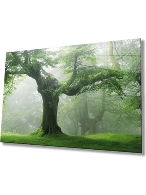 Shopping Haven Yeşil Ağaç Cam Tablo, Ev ve Ofis Duvar Dekoru Hediyelik Büyük Tablo Dayanıklı Cam