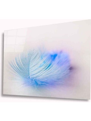 Shopping Haven Tüy Cam Tablo 4mm Dayanıklı Temperli Cam