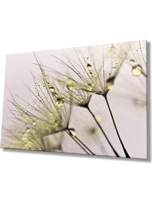 Shopping Haven Sarı Karahindiba Cam Tablo