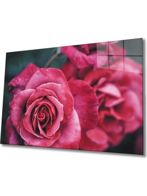 Shopping Haven Rose 1 Cam Tablo